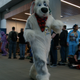 Illustration for article titled My Weekend At A Furry Convention